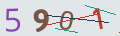 verifycode
